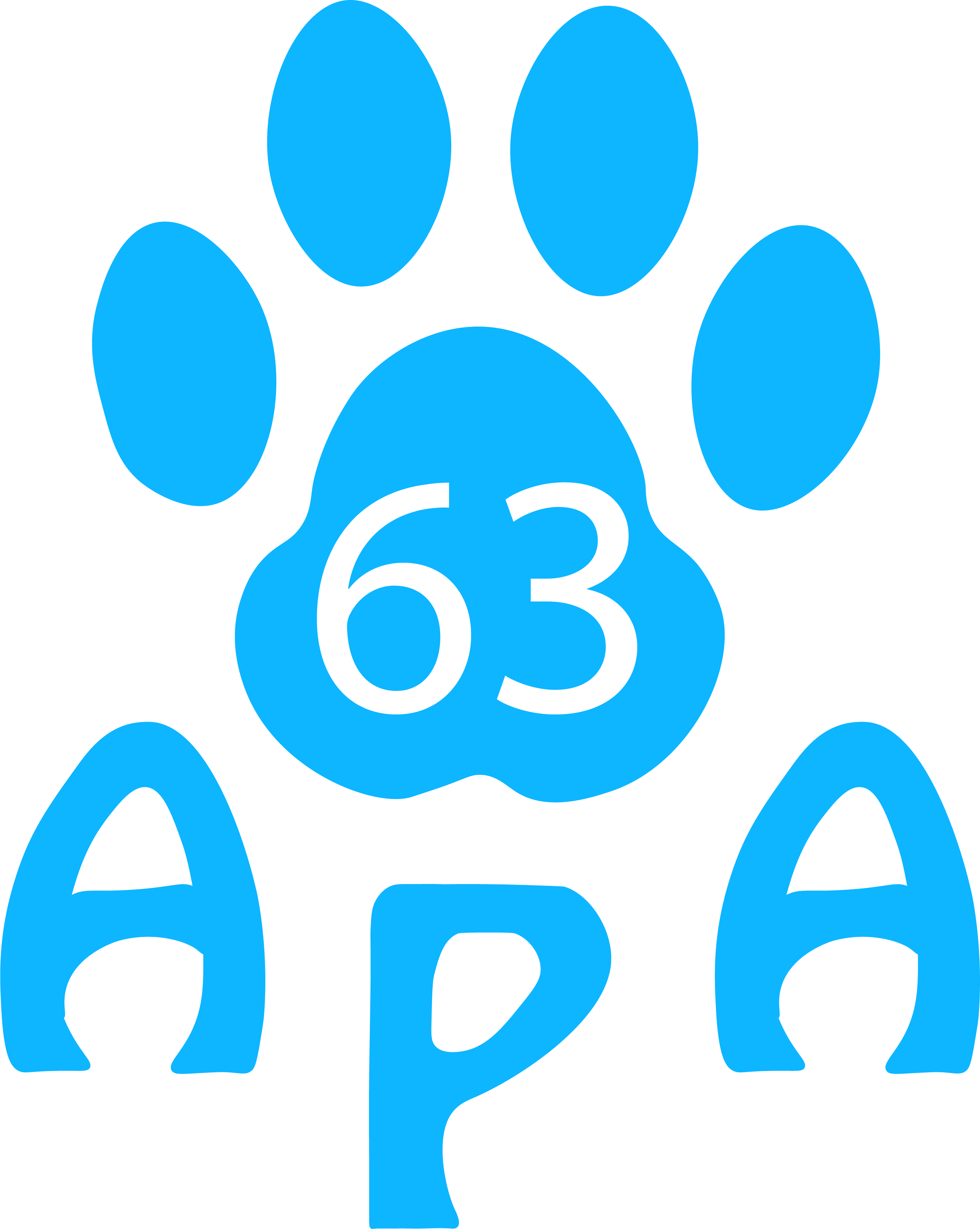 Application web APA 63 — Réalisée par Jessy Frachisse développeur web Clermont-Ferrand